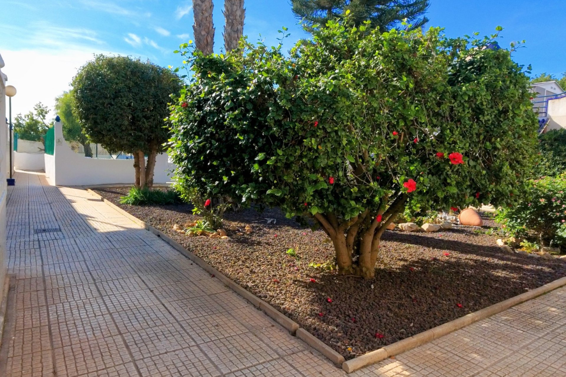 Resale - Town House - Torrevieja