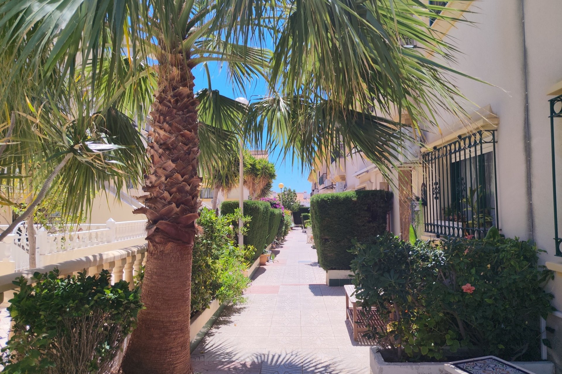 Resale - Townhouse / Terraced House - Orihuela Costa - La Zenia