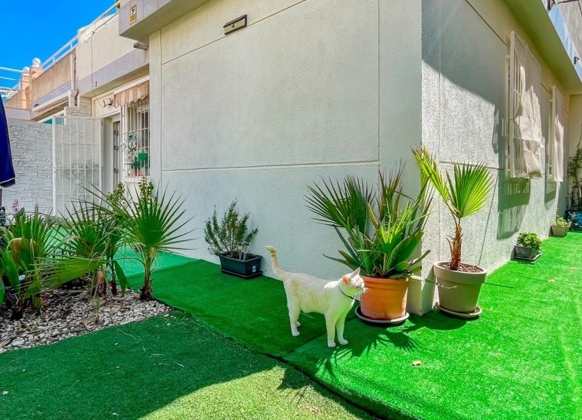 Resale - Townhouse / Terraced House - Orihuela Costa - Los Altos