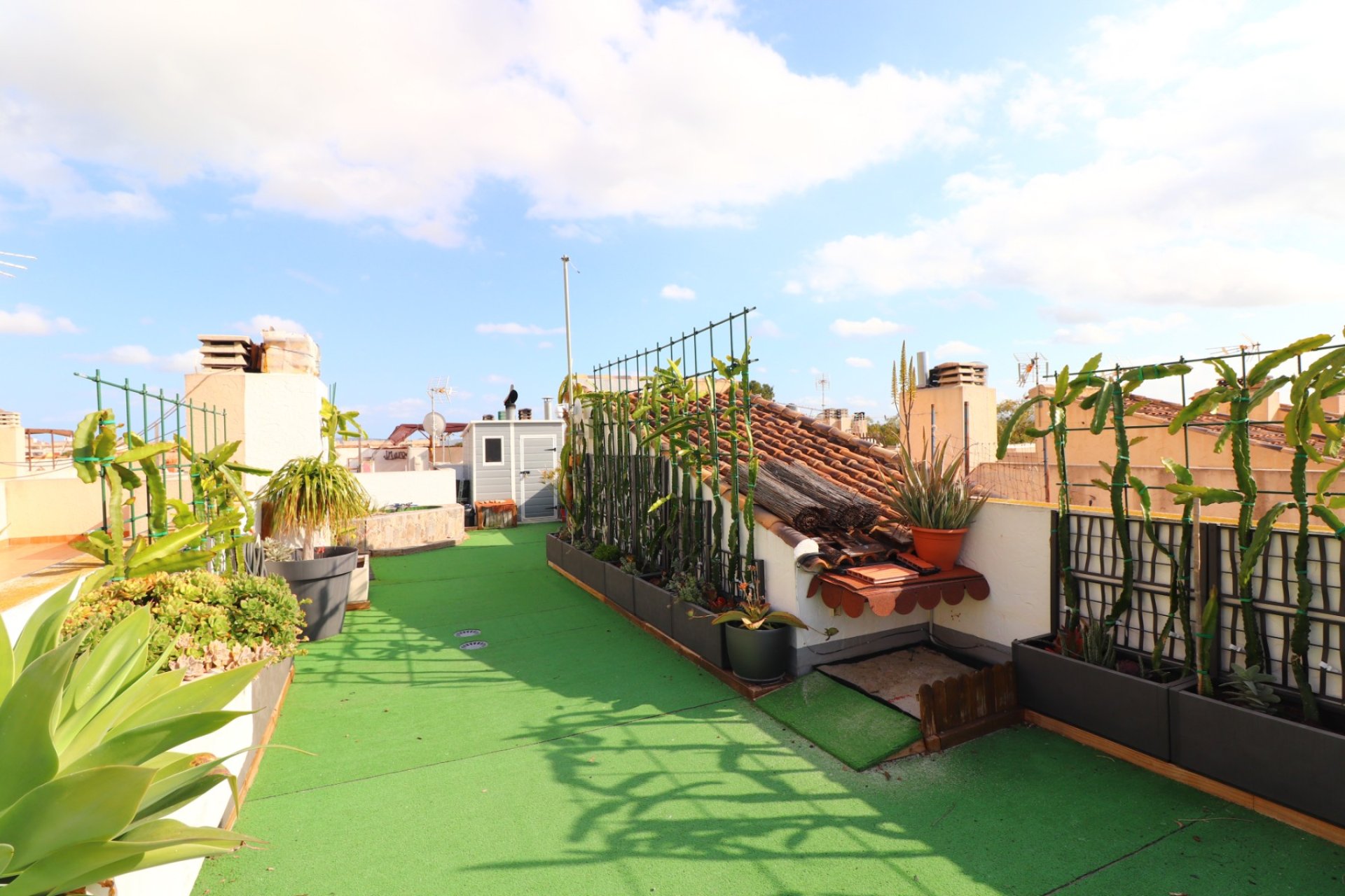 Resale - Townhouse / Terraced House - Redovan - Redovan - Town