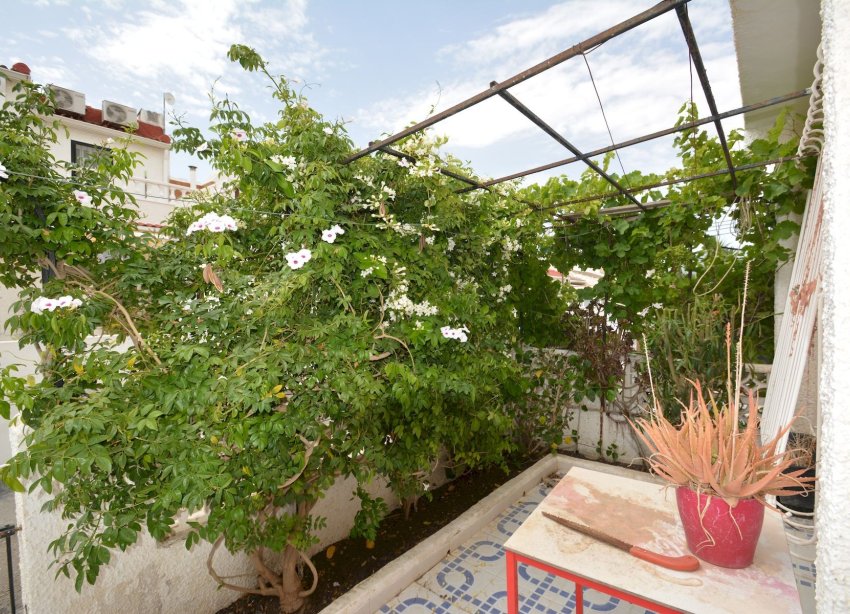 Resale - Townhouse / Terraced House - Torrevieja - El limonar