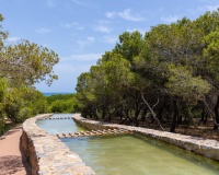 Resale - Townhouse / Terraced House - Torrevieja - La Mata