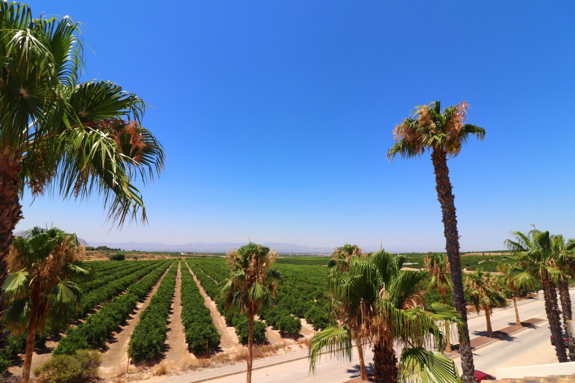 Resale - Villa - Algorfa - La Finca Golf Resort