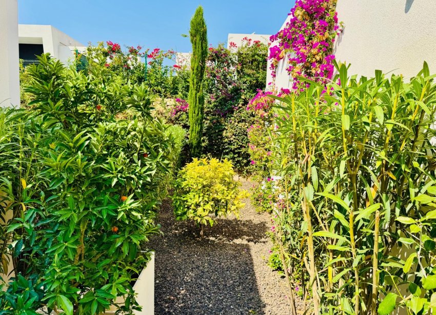 Resale - Villa - Algorfa - La Finca Golf