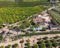 Resale - Villa - Alicante - Jacarilla
