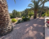 Resale - Villa / House - Algorfa - Lomas De La Juliana