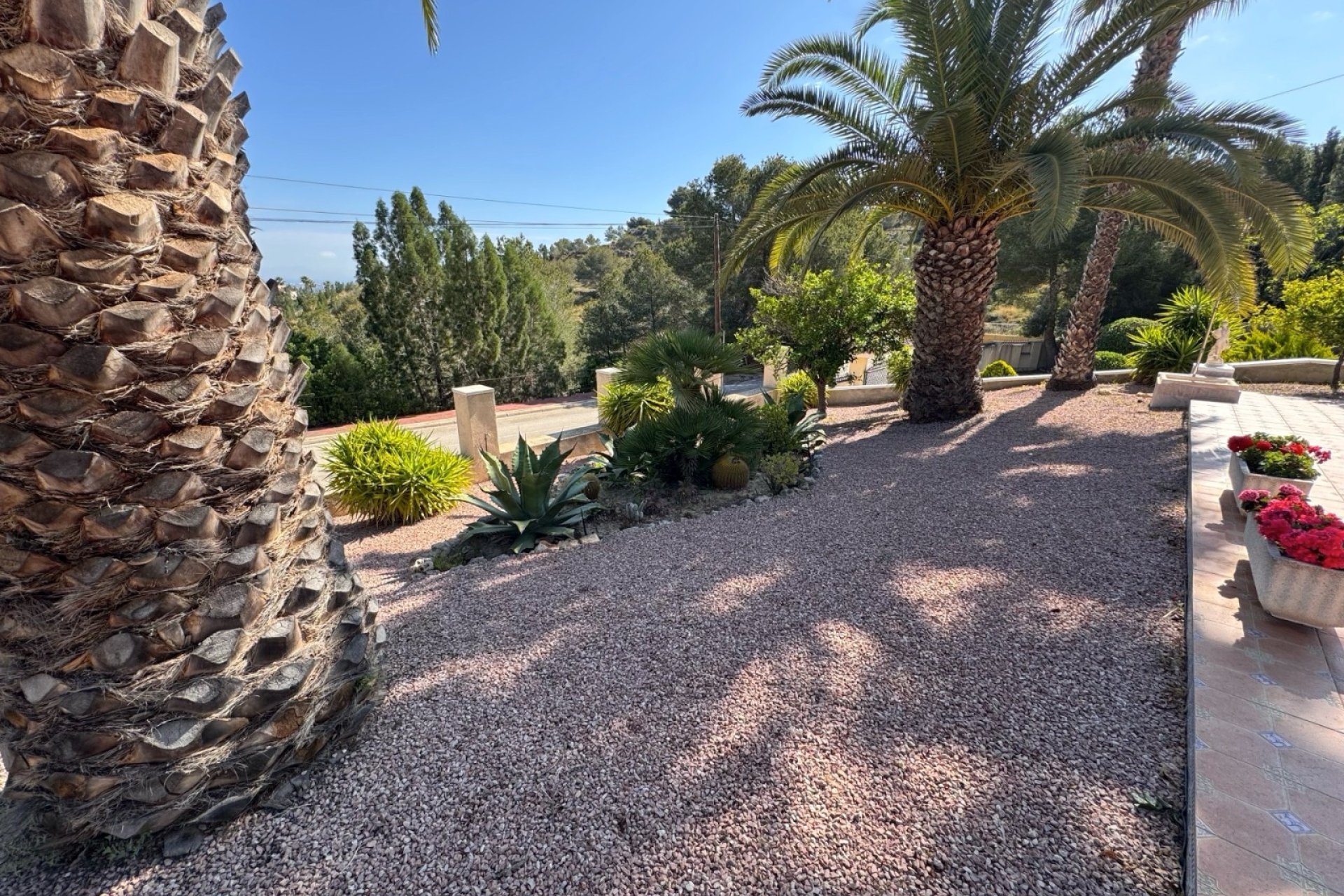 Resale - Villa / House - Algorfa - Lomas De La Juliana