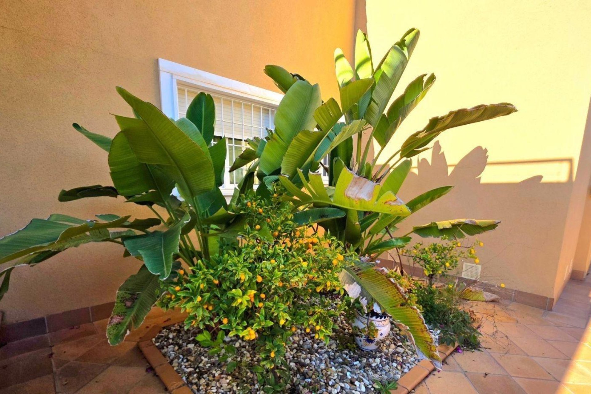 Resale - Villa / House - Dehesa de campoamor - Campoamor