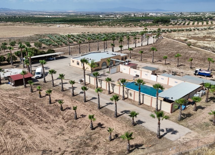 Resale - Villa / House - Fuente Álamo - Fuente Alamo