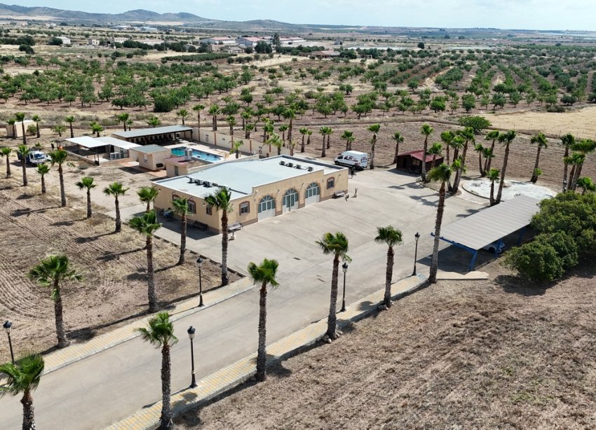 Resale - Villa / House - Fuente Álamo - Fuente Alamo