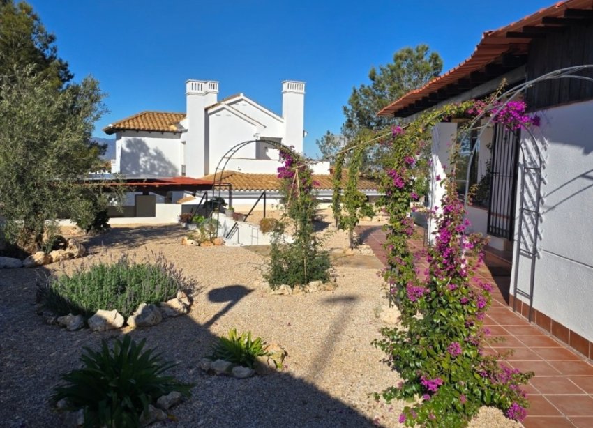Resale - Villa / House - Fuente Álamo - Las Palas