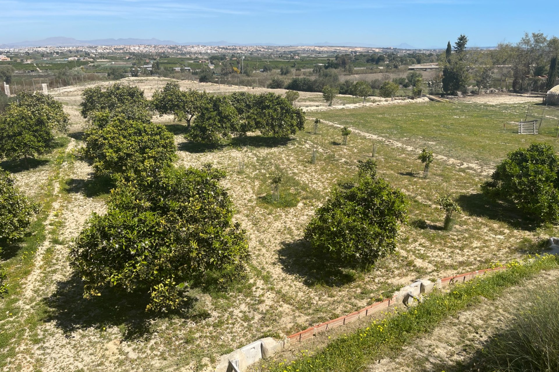 Resale - Villa / House - Guardamar del Segura - Valencian Community