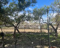 Resale - Villa / House - Guardamar del Segura - Valencian Community