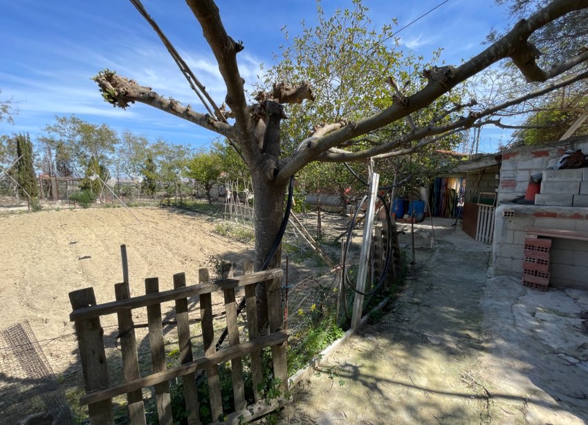 Resale - Villa / House - Guardamar del Segura - Valencian Community