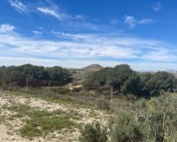 Resale - Villa / House - Guardamar del Segura - Valencian Community