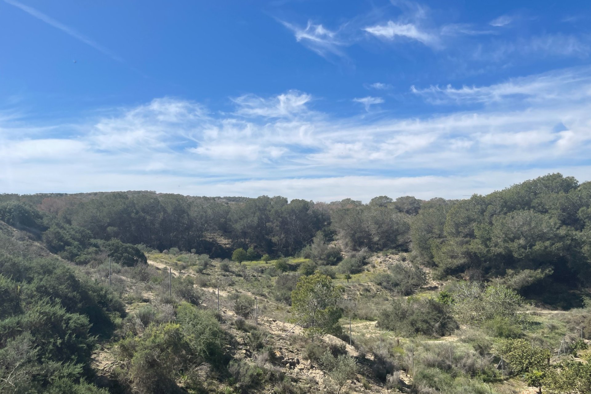 Resale - Villa / House - Guardamar del Segura - Valencian Community