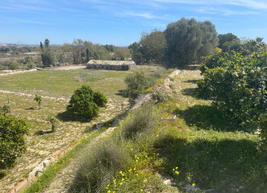 Resale - Villa / House - Guardamar del Segura - Valencian Community