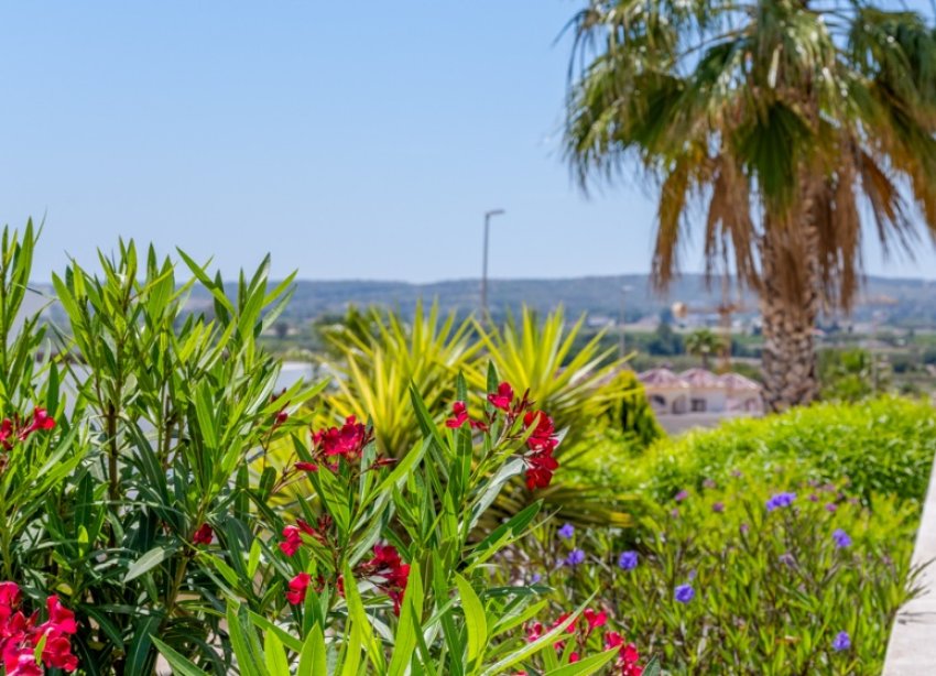 Resale - Villa / House - La Marina