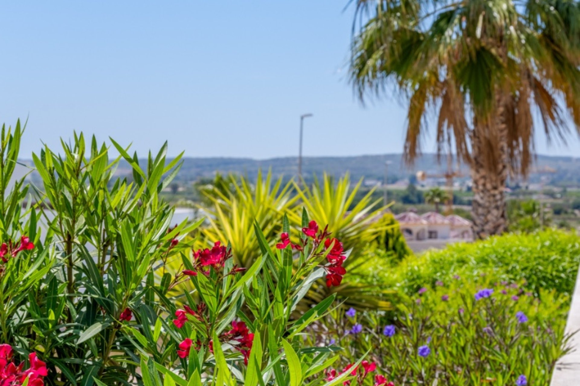 Resale - Villa / House - La Marina