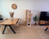 Resale - Villa / House - Los Montesinos - Urbanizacion montesol