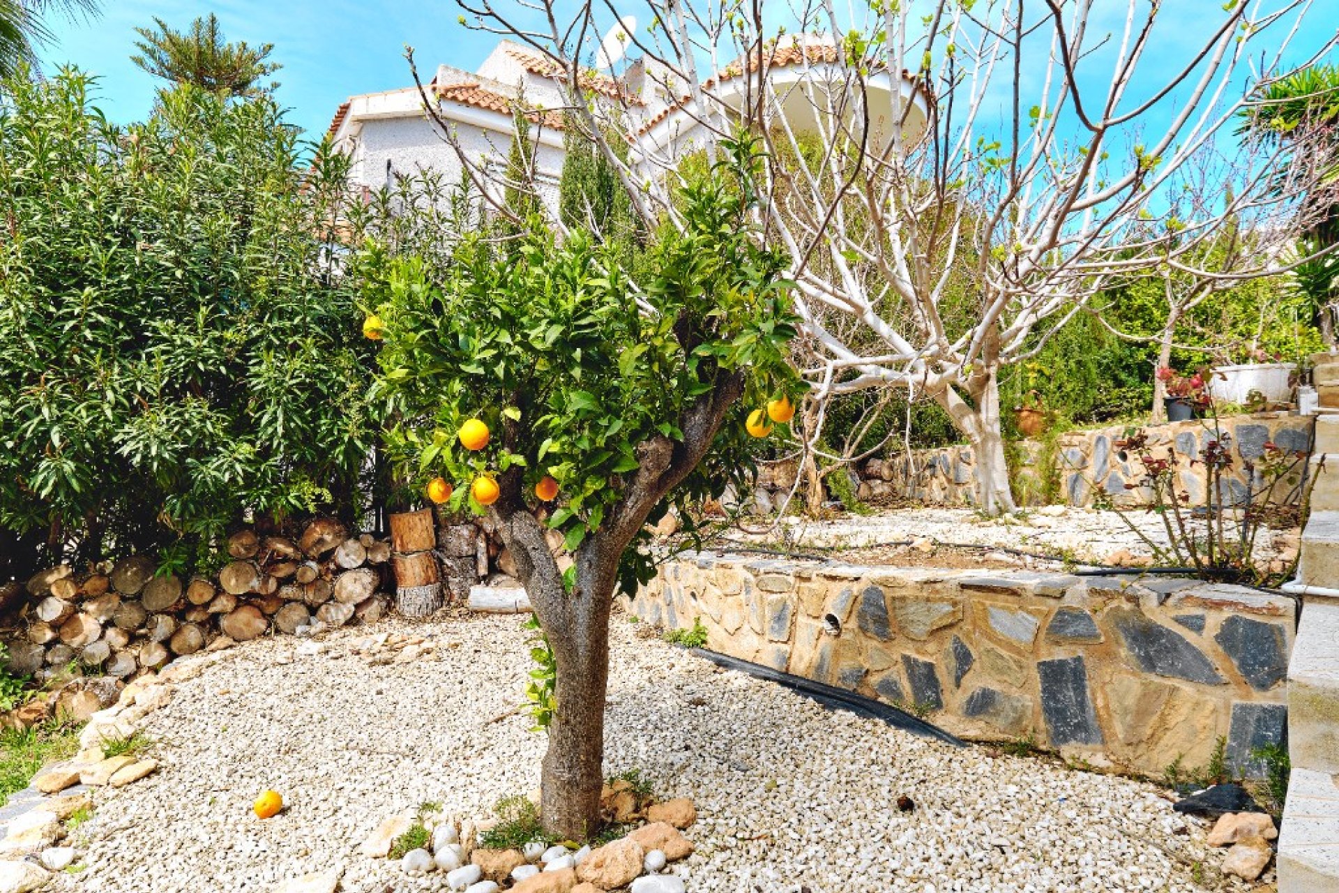 Resale - Villa / House - Orihuela Costa - Dehesa de campoamor