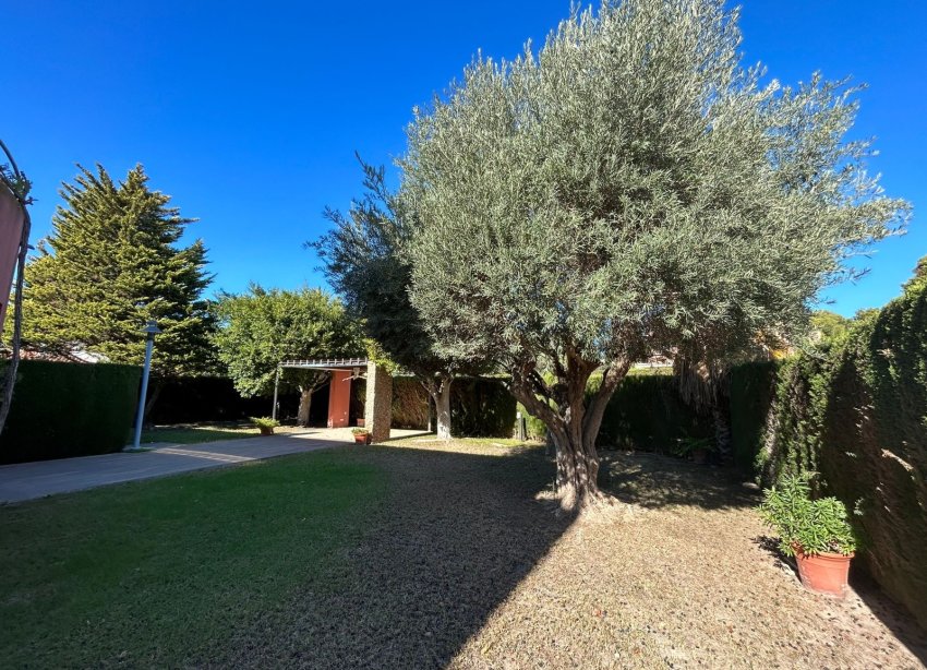 Resale - Villa / House - Orihuela Costa - Dehesa de campoamor
