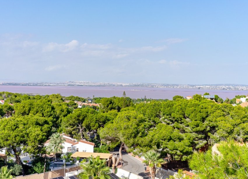 Resale - Villa / House - Torrevieja - Los Balcones