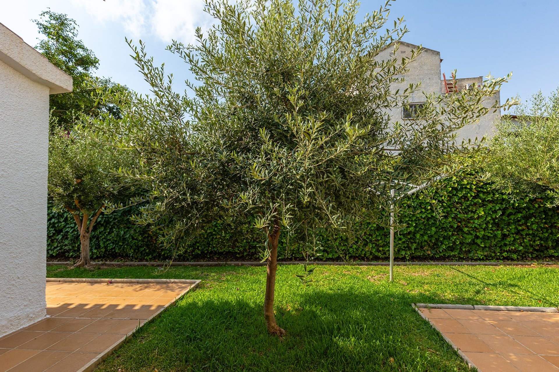 Resale - Villa / House - Torrevieja - Playa de los Locos