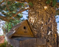 Resale - Villa - La Siesta - El Salado - Torreta - La Siesta