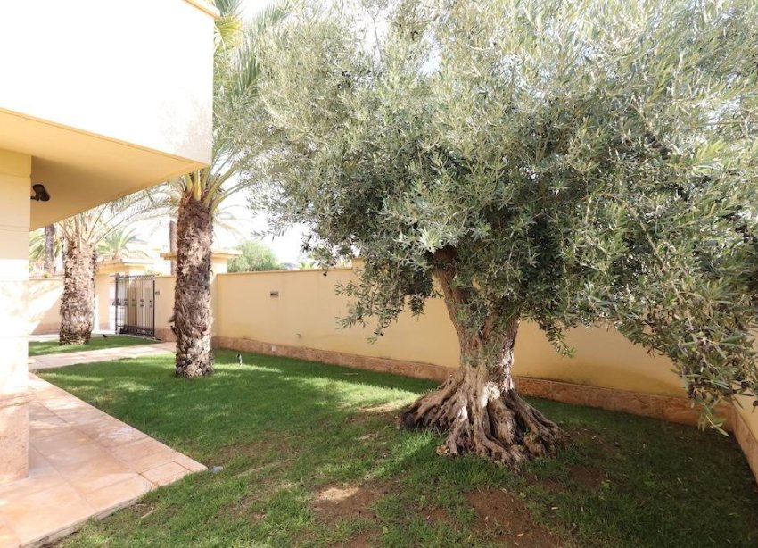 Resale - Villa - Orihuela Costa - Costa blanca