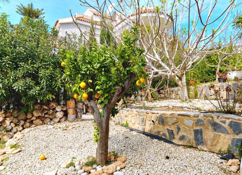 Resale - Villa - Orihuela Costa - Dehesa De Campoamor