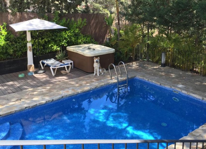 Resale - Villa - Orihuela Costa - Dehesa De Campoamor