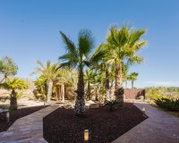 Resale - Villa - Orihuela Costa - Las Colinas Golf