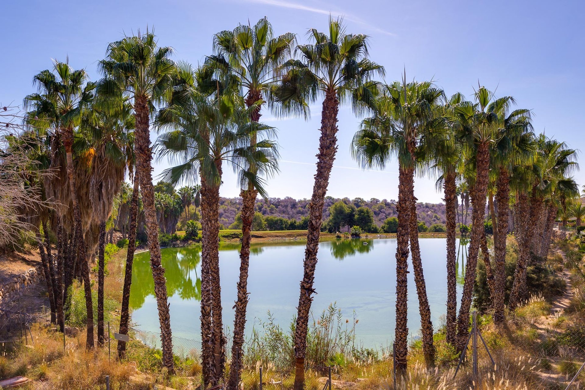 Resale - Villa - Orihuela Costa - Las Ramblas Golf