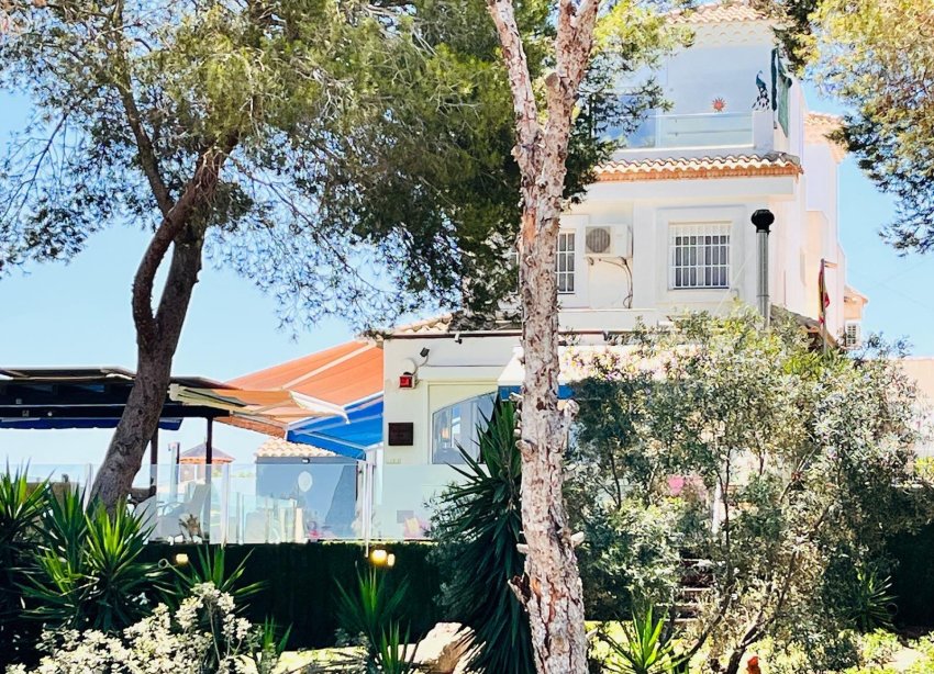 Resale - Villa - Orihuela Costa - Montezenia