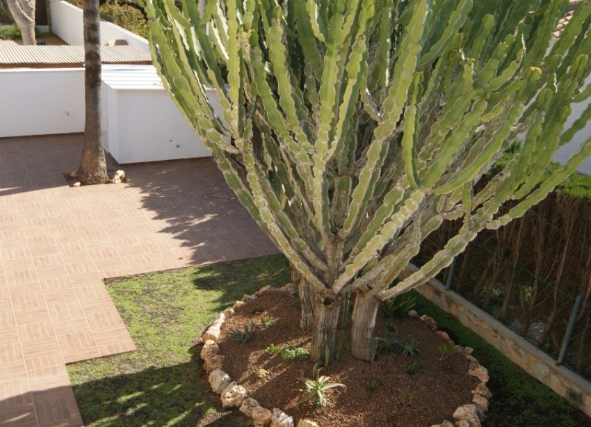 Resale - Villa - Orihuela Costa - MUY CERCA DE LA PLAYA