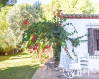 Resale - Villa - Orihuela Costa - Punta Prima