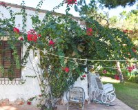 Resale - Villa - Orihuela Costa - Punta Prima