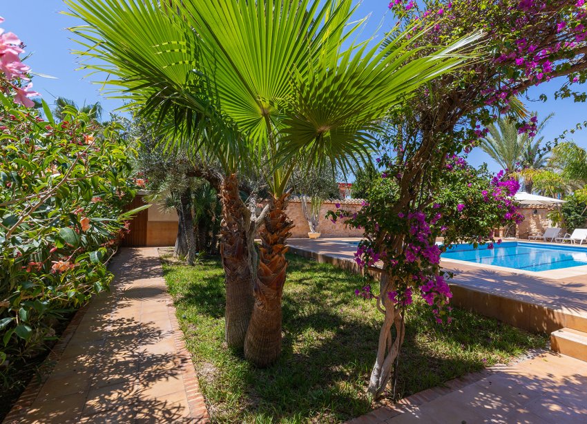 Resale - Villa - Orihuela Costa - Punta Prima