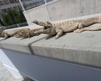 Resale - Villa - Orihuela - Entre Naranjos Vistabella Golf