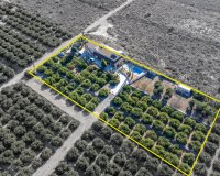 Resale - Villa - Orihuela - La Matanza