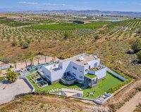 Resale - Villa - Torremendo