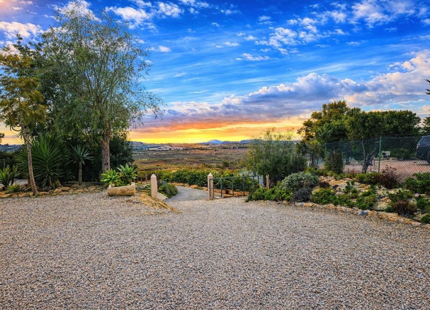 Resale - Villa - Torremendo