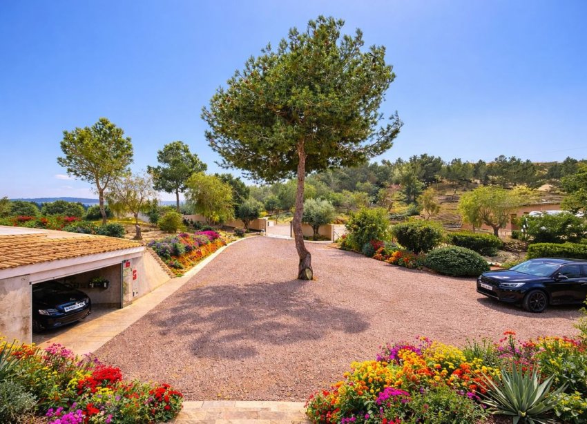 Resale - Villa - Torremendo