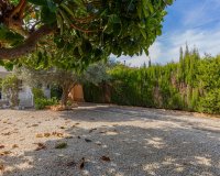 Resale - Villa - Torrevieja - El chaparral