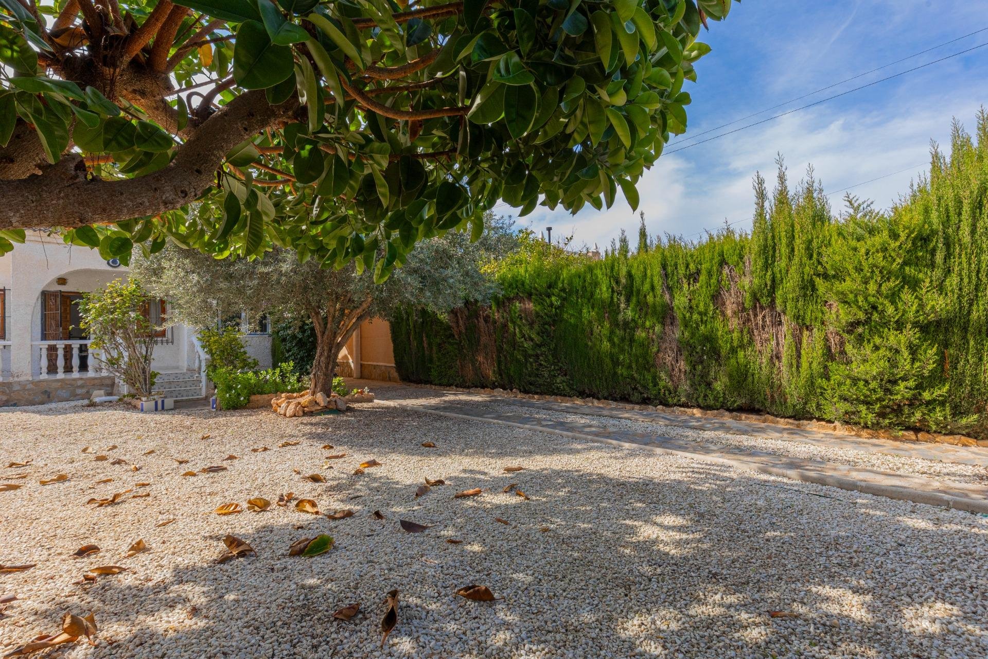 Resale - Villa - Torrevieja - El chaparral