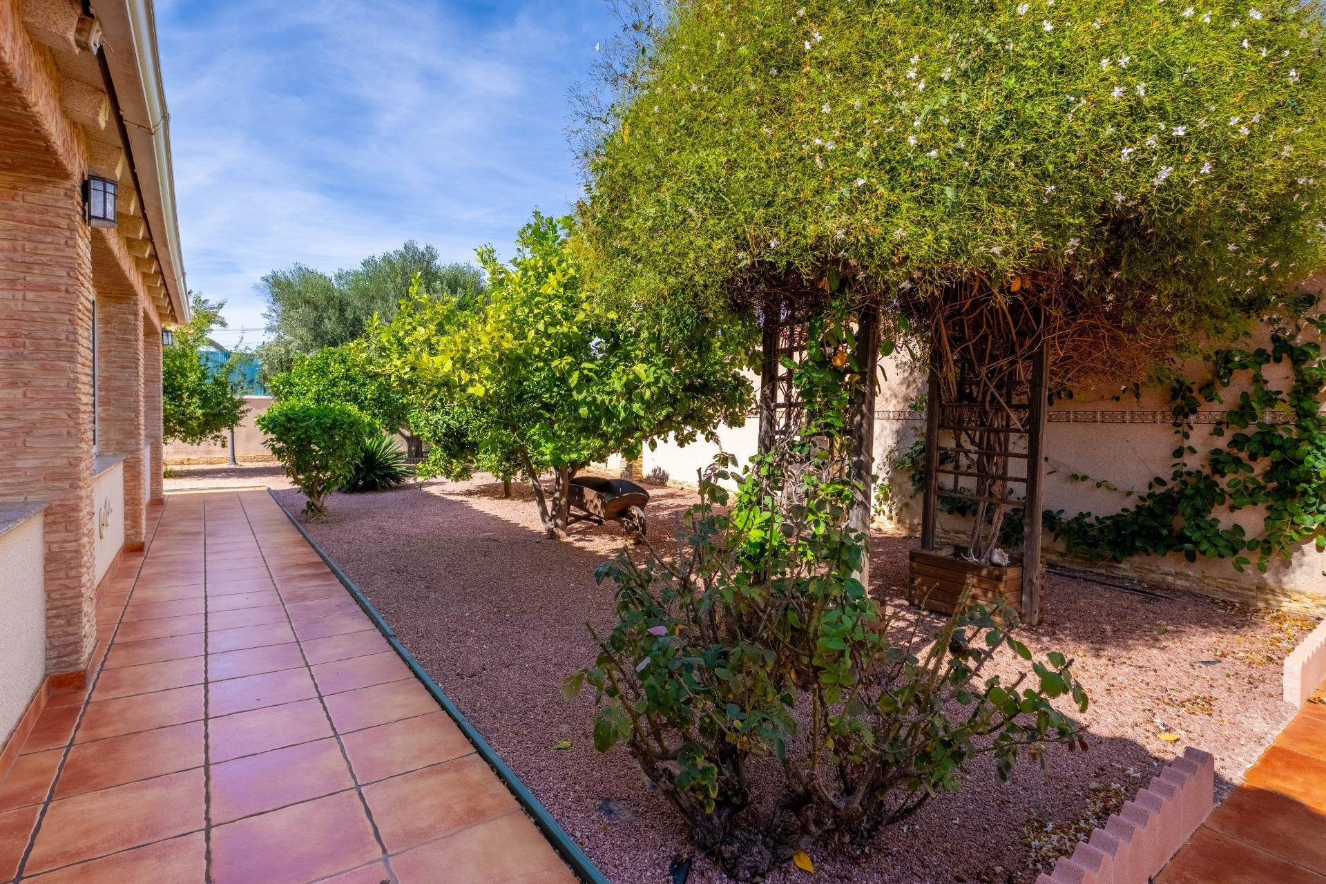 Resale - Villa - Torrevieja - El chaparral
