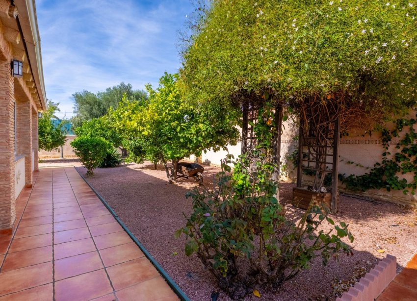 Resale - Villa - Torrevieja - El Chaparral