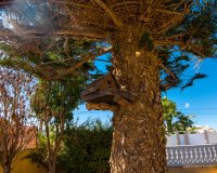 Resale - Villa - Torrevieja - La Siesta