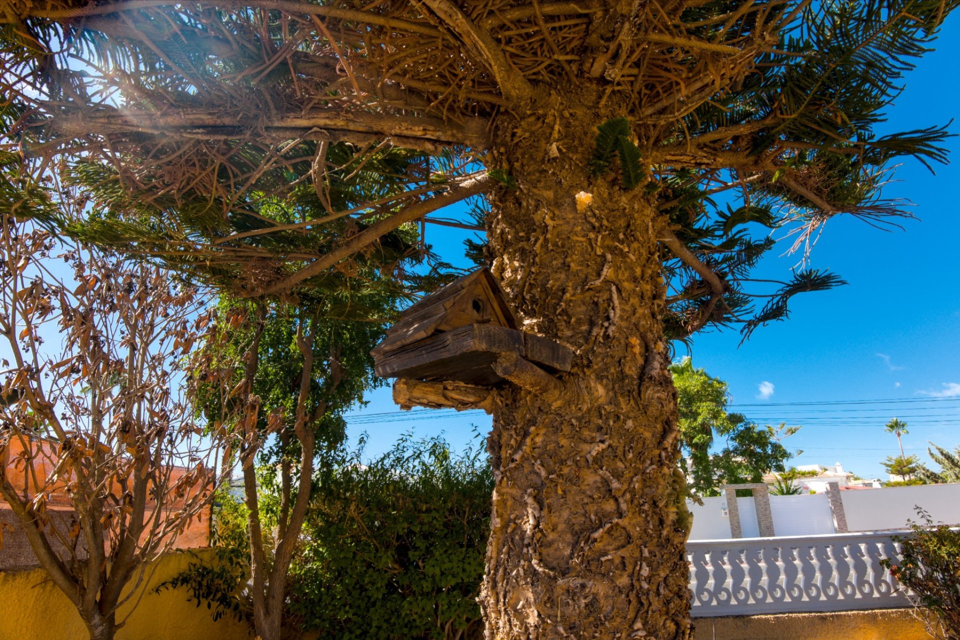 Resale - Villa - Torrevieja - La Siesta